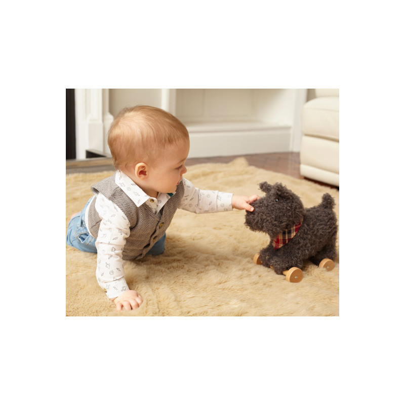 Little Bird Told Me - Scottie Hund, dragdjur