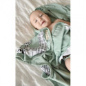 Pellianni - Organic Blanket, City