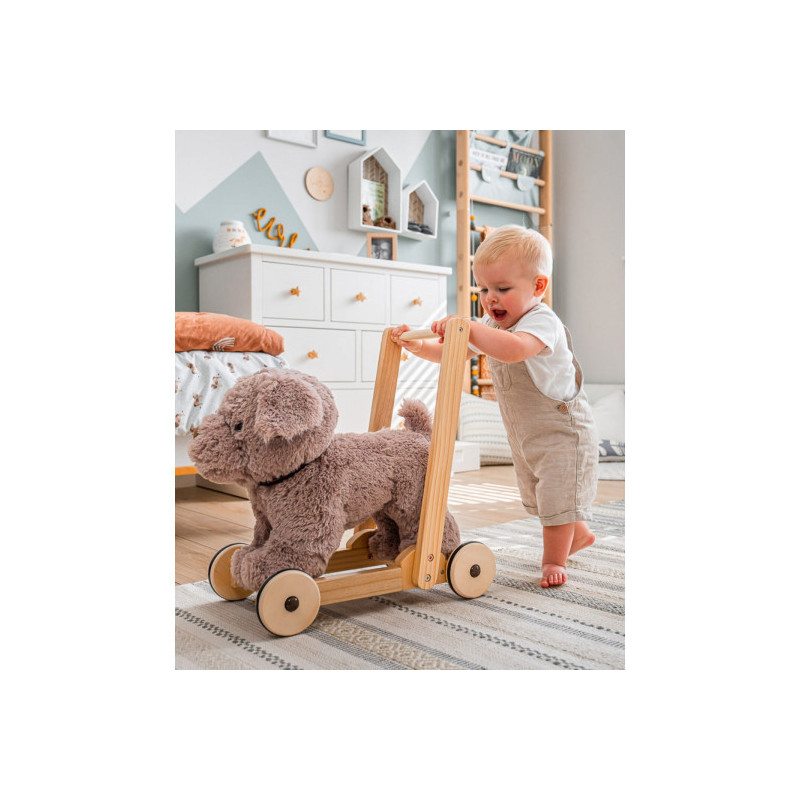 Little Bird Told Me - Bailey Hund gåvagn