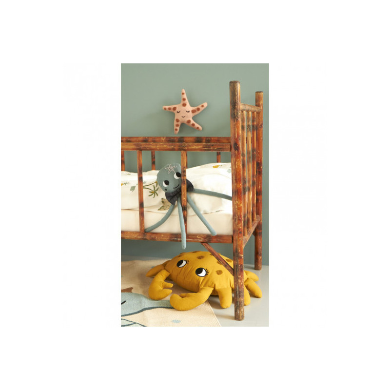Roommate - Skallra, STAR FISH