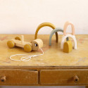 Roommate - Turtle - Pull-along & Stacking Toy