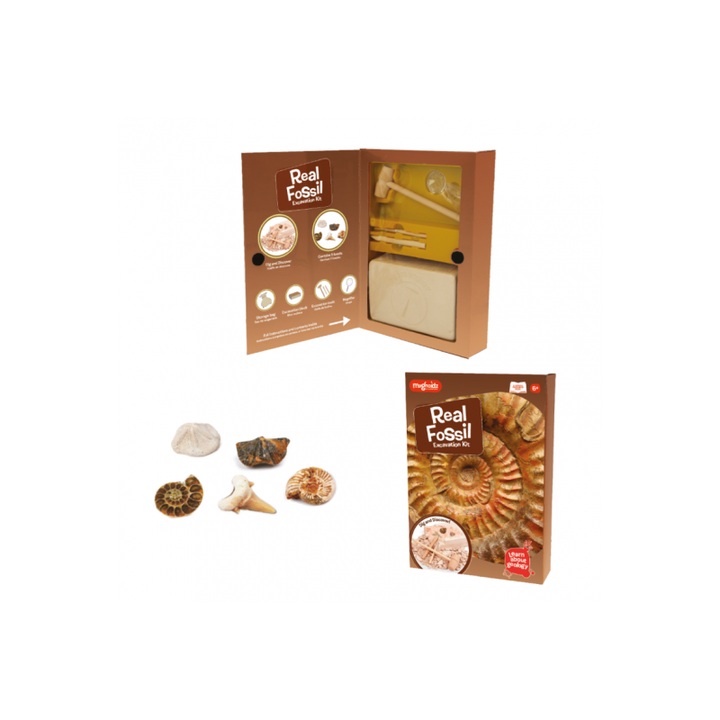 Keycraft - Fossil Dig Kit