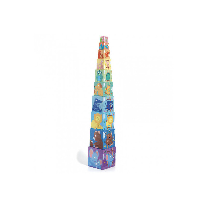 Djeco - 10 Rainbow blocks