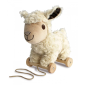 Little Bird Told Me - Lambert sheep, dragdjur