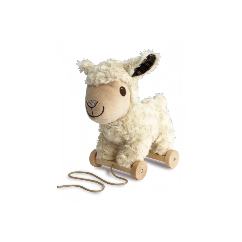 Little Bird Told Me - Lambert sheep, dragdjur
