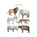 Fashionell - Poster, In the Savannah 50x70cm