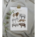 Fashionell - Poster, In the Savannah 50x70cm