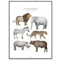 Fashionell - Poster, In the Savannah 50x70cm