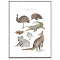 Fashionell - Poster, In the Outback 50x70cm