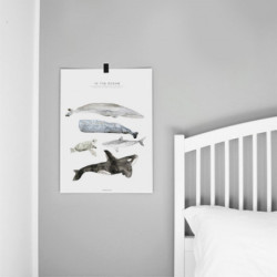 Fashionell - Poster, In the Ocean 40x50 cm