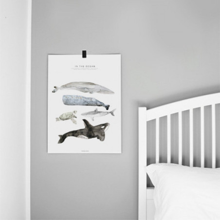 Fashionell - Poster, In the Ocean 40x50 cm