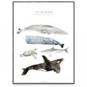 Fashionell - Poster, In the Ocean 40x50 cm