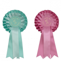 Cheval Roi - Rosetter käpphäst, mint/pink