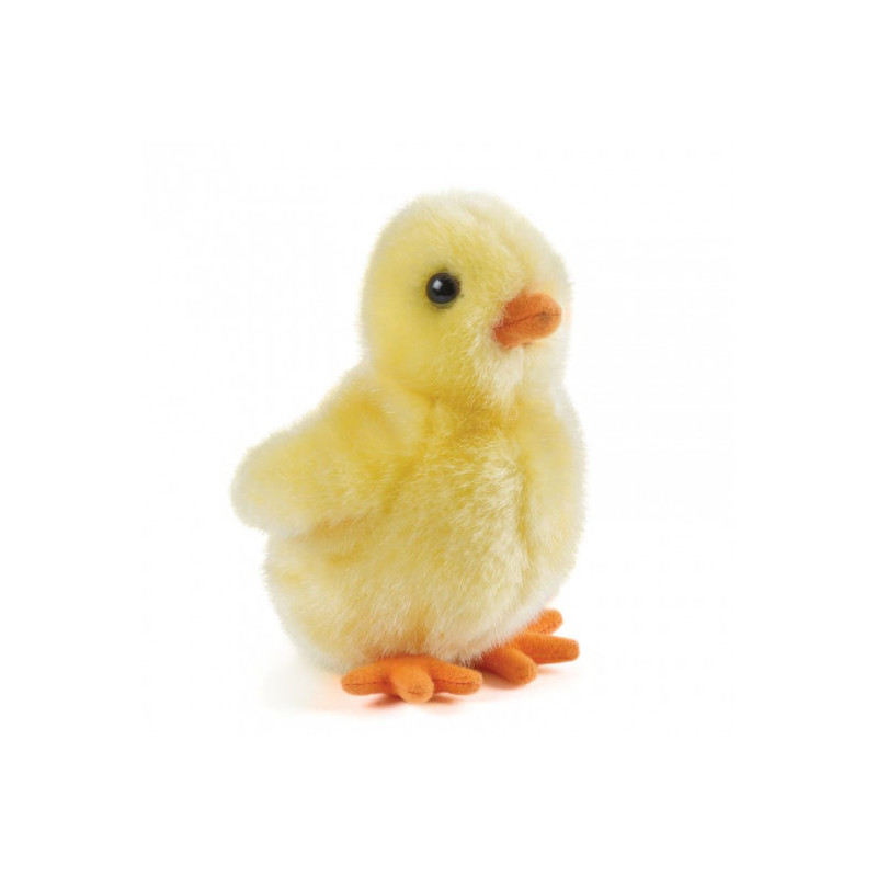 Living nature - Fluffy Chicks, gul