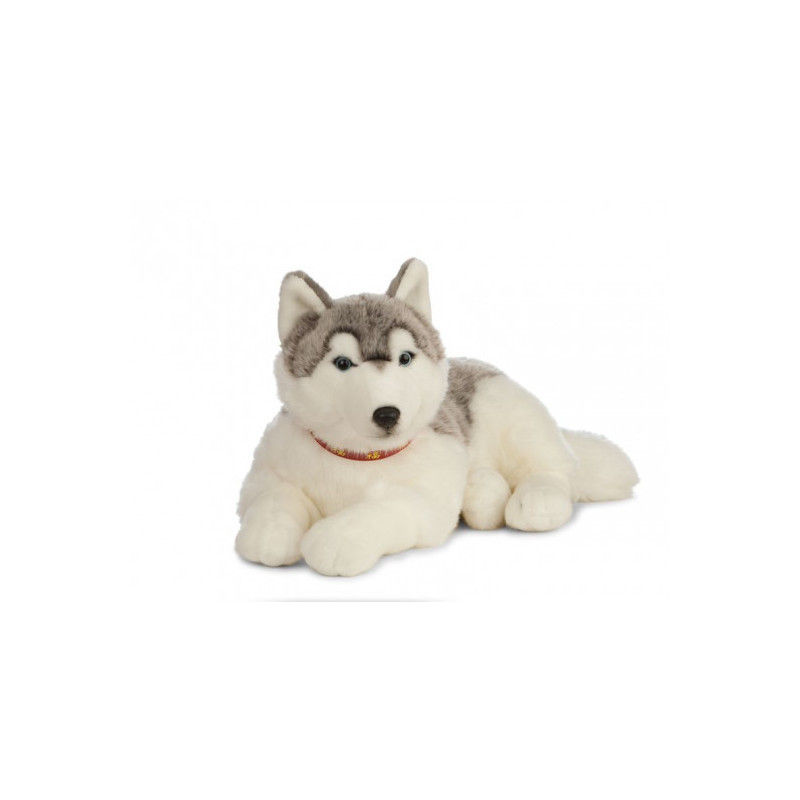 Living nature - Giant husky