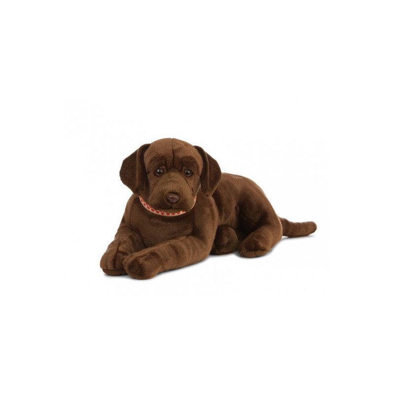 Living nature - Giant chocolate Lab