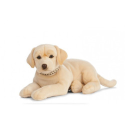 Living nature - Giant golden Lab