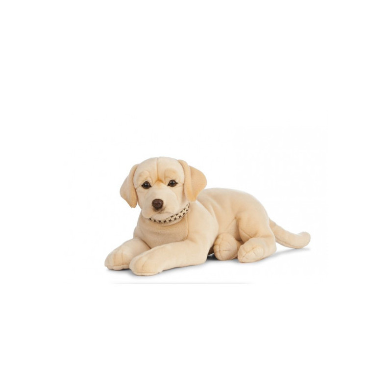 Living nature - Giant golden Lab