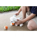 PlanToys - Pet Care Set