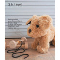 Little Bird Told Me - Dexter Hund, dragdjur