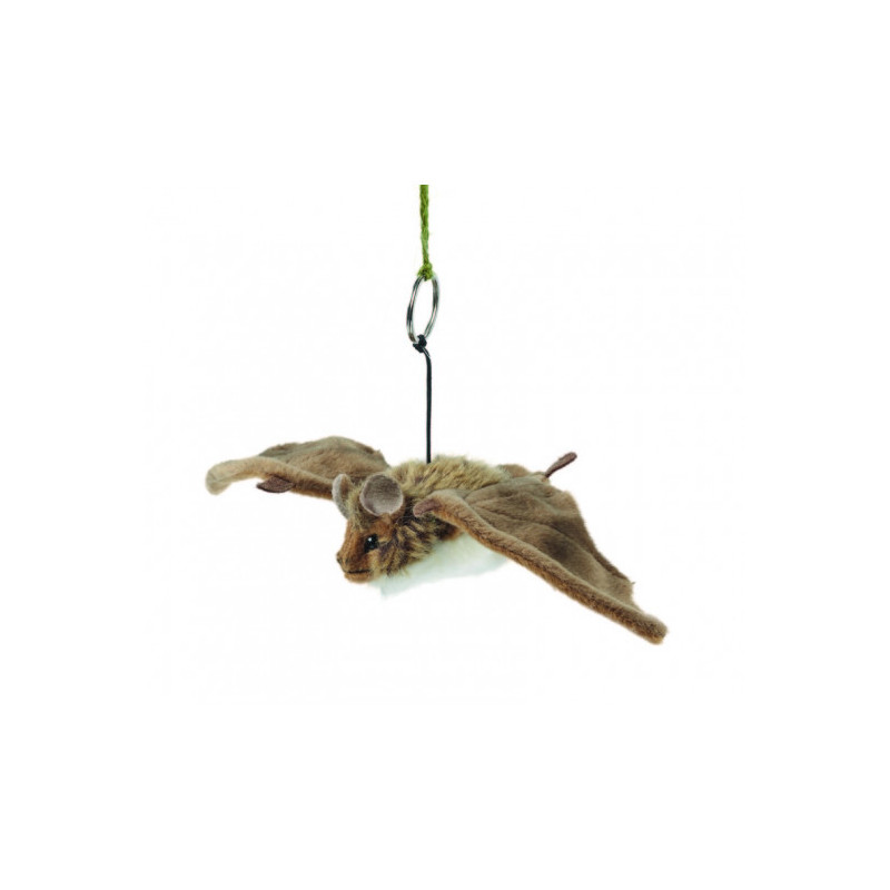 Living nature - Bat Small