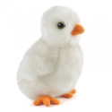 Living nature - Fluffy Chicks, vit