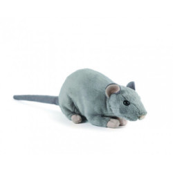 Living nature - Rat with Squeak