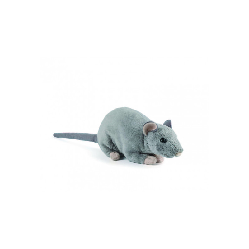 Living nature - Rat with Squeak