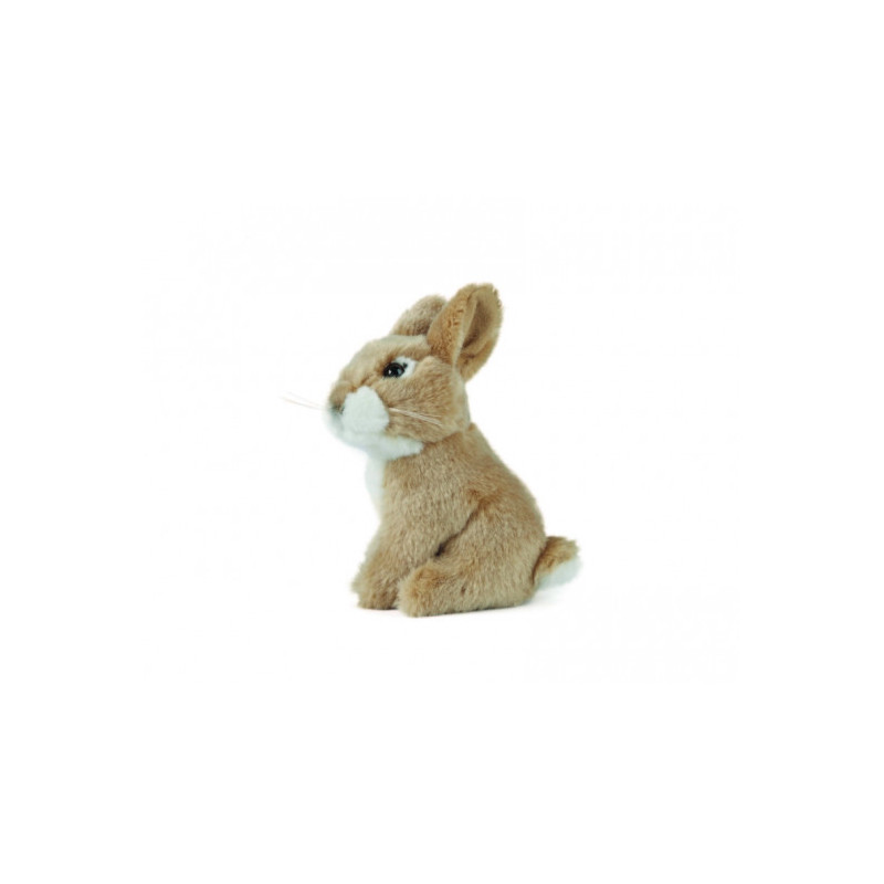 Living nature - Sitting Baby Rabbit