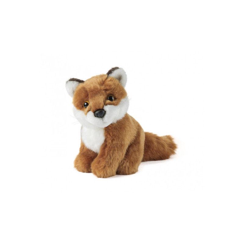 Living nature - Sitting Fox