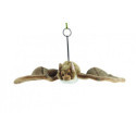 Living nature - Bat Large
