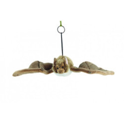 Living nature - Bat Large