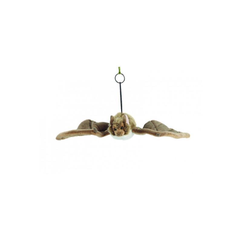Living nature - Bat Large