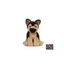 Living nature - German Shepherd Puppy