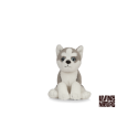 Living nature - Husky Puppy