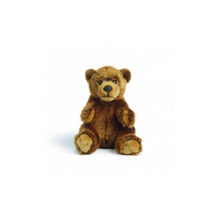 Living nature - Brown Bear
