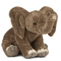 Living nature - Floppy Elephant