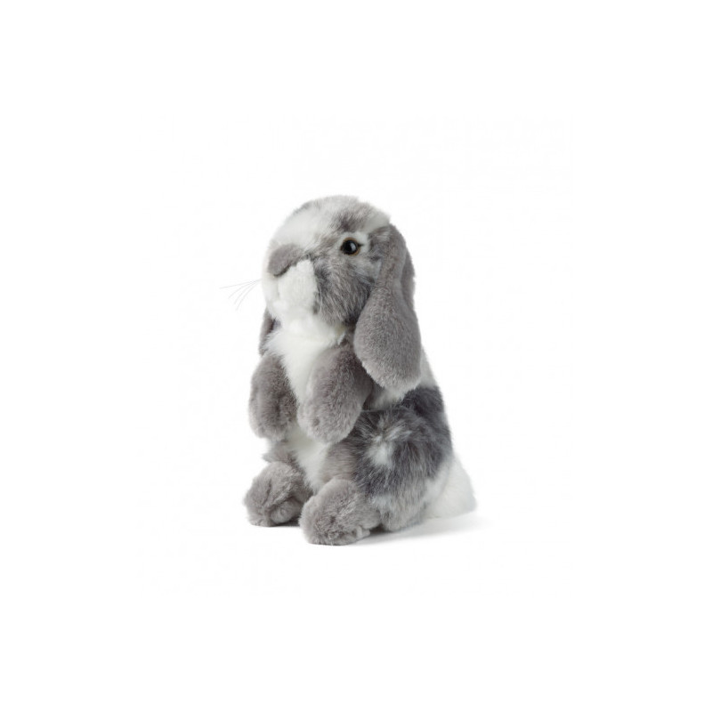 Living nature - Grey Sitting Lop Eared Rabbit