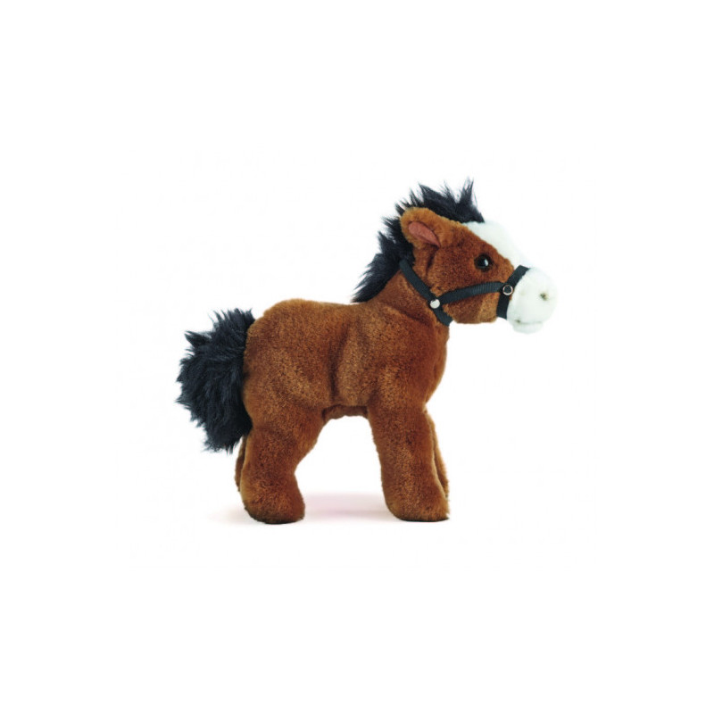Living nature - Horse with Bridle