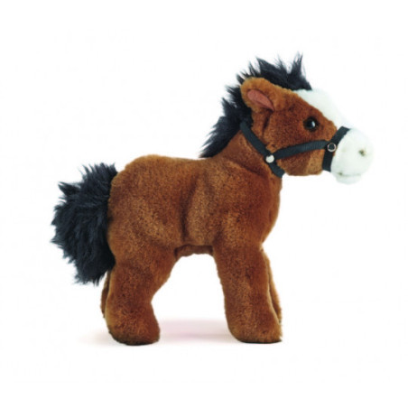 Living nature - Horse with Bridle