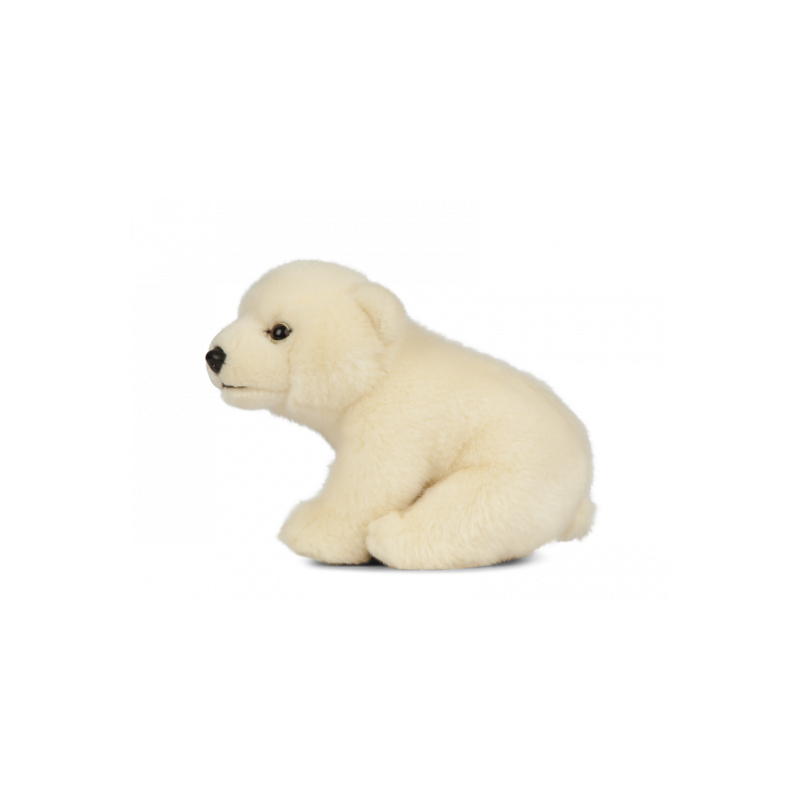 Living nature - Polar Bear Cub Sitting