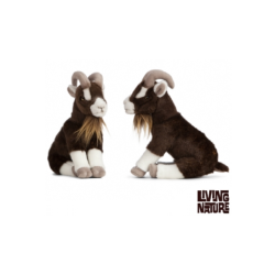 Living nature - Brown Goat Sitting
