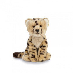 Living nature - Cheetah Cub