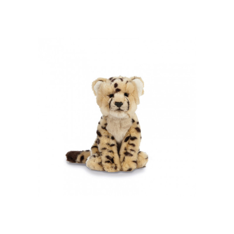 Living nature - Cheetah Cub