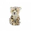 Living nature - Cheetah Cub