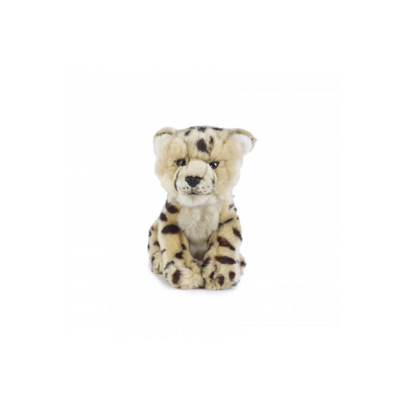 Living nature - Cheetah Cub