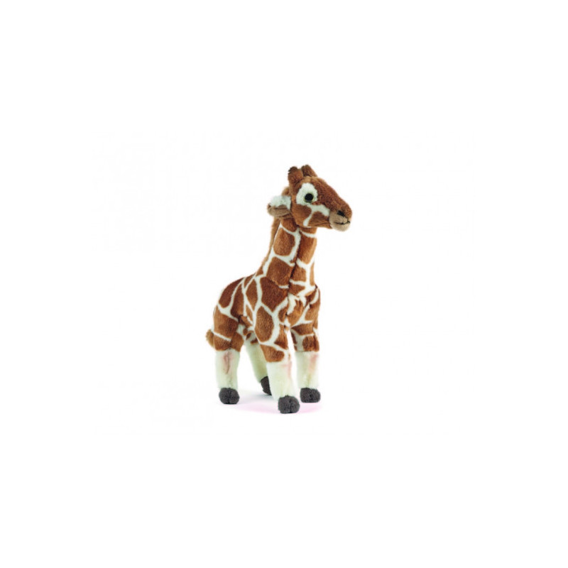 Living nature - Giraffe Medium
