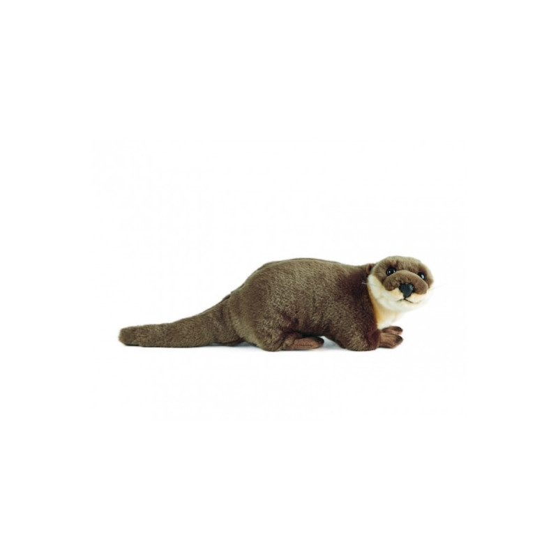 Living nature - Otter Large