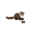 Living nature - Pine Marten