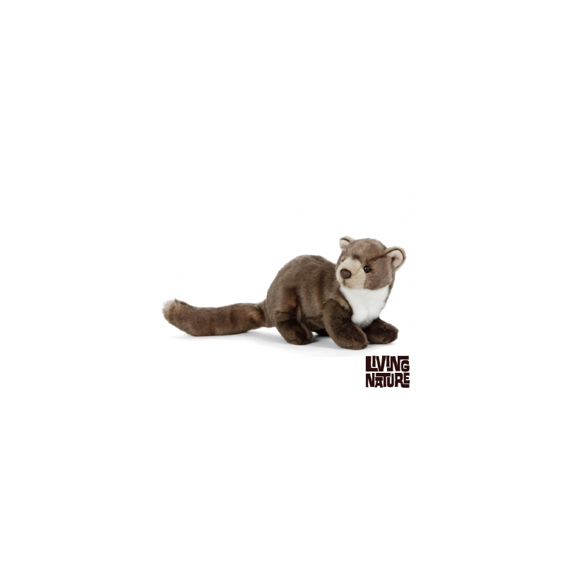 Living nature - Pine Marten